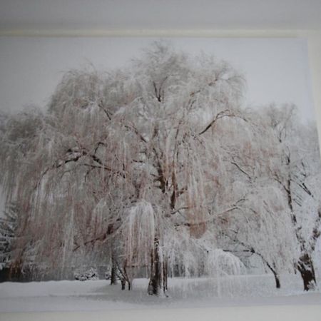 Bed and Breakfast Longview House Ballymoney Exteriér fotografie